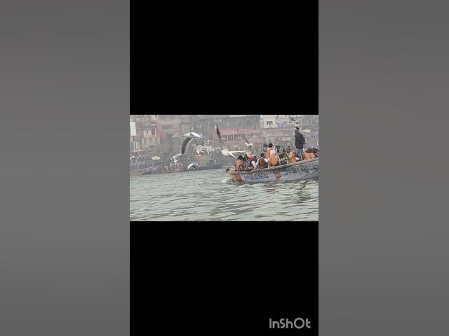 Video thumbnail for Sukoon♥️ varanasi 🎉🎀 #youtubeshorts #vairalshort  #varanasi