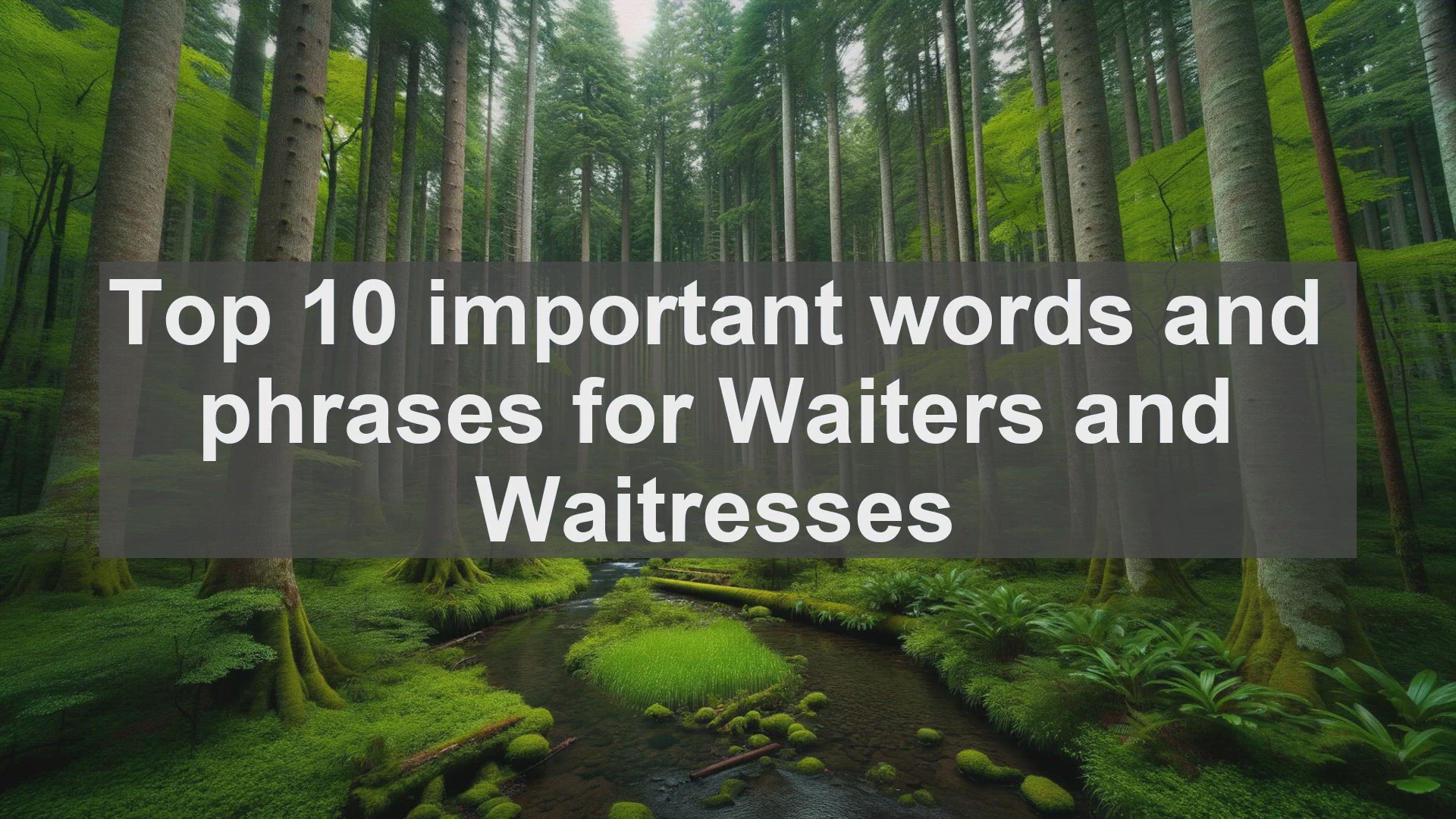 'Video thumbnail for Top 10 important words and phrases for Waiters and Waitresses'