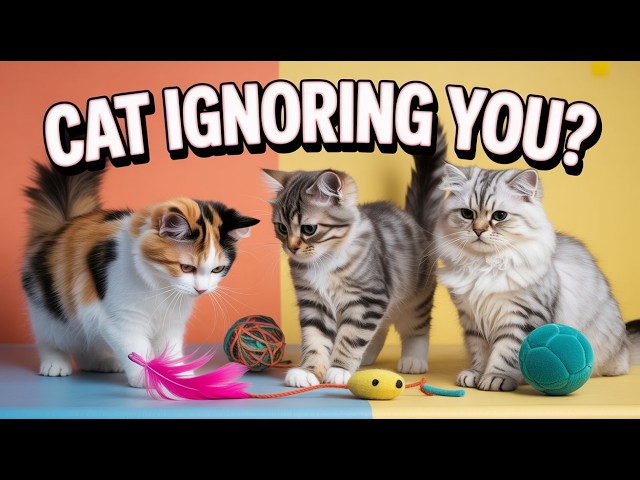 Video thumbnail for 5 Signs Your Cat Is Ignoring You (Learn Their Body Language!)