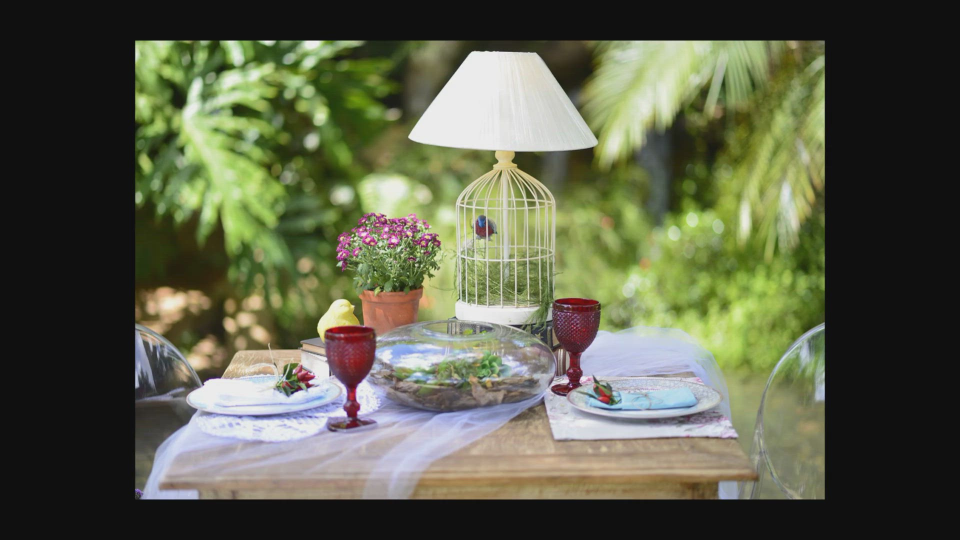 Video thumbnail for Die Geheimnisse der Ausläufer: Vermehrung und Management in der Pflanzenwelt