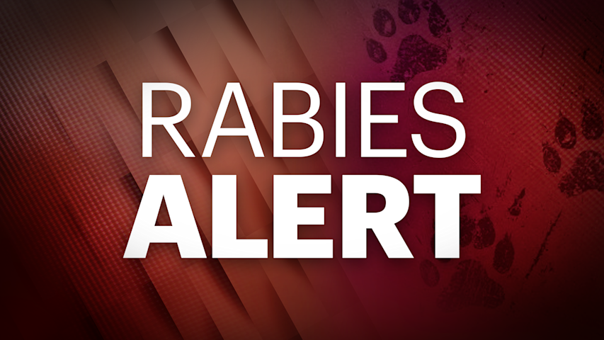 Video thumbnail for Bat tests positive for rabies in Middletown
