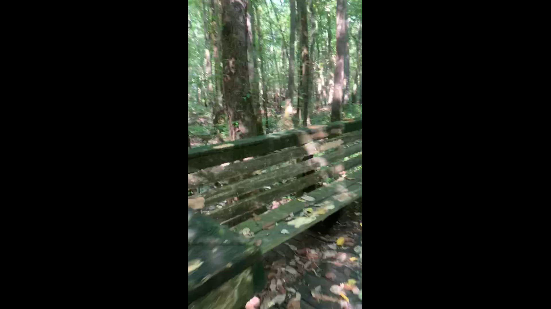 'Video thumbnail for Walking trail '