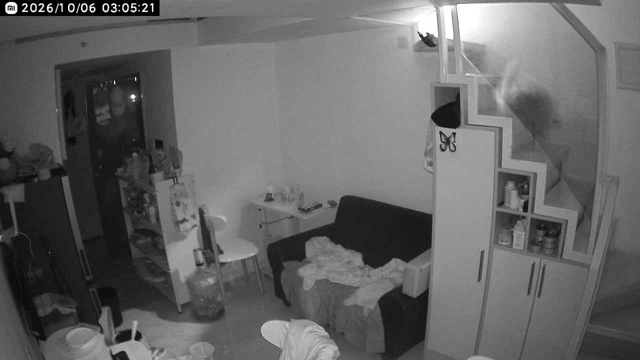 Video thumbnail for Cat accidentally tumbles down stairs in Guangdong home