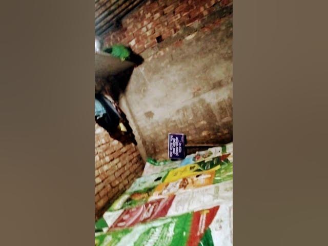 Video thumbnail for 21 September 2025