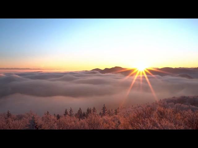 Video thumbnail for unknown