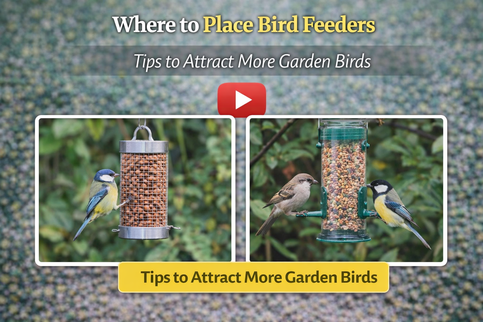Video thumbnail for Where to Place Bird Feeders | Tips to Attract More Garden Birds