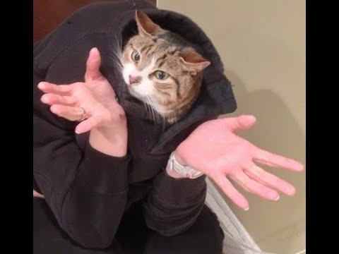 Video thumbnail for A New Direction