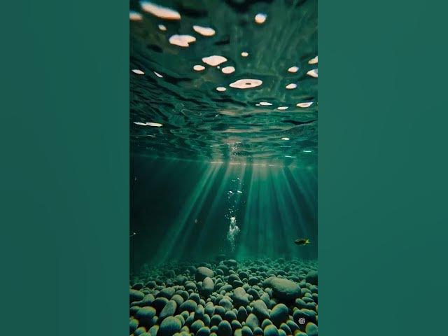Video thumbnail for deep sea #short #shorts