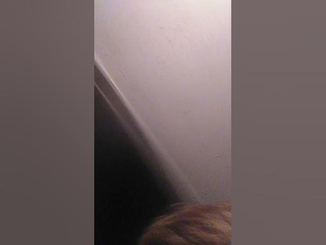 Video thumbnail for February 28, 2024