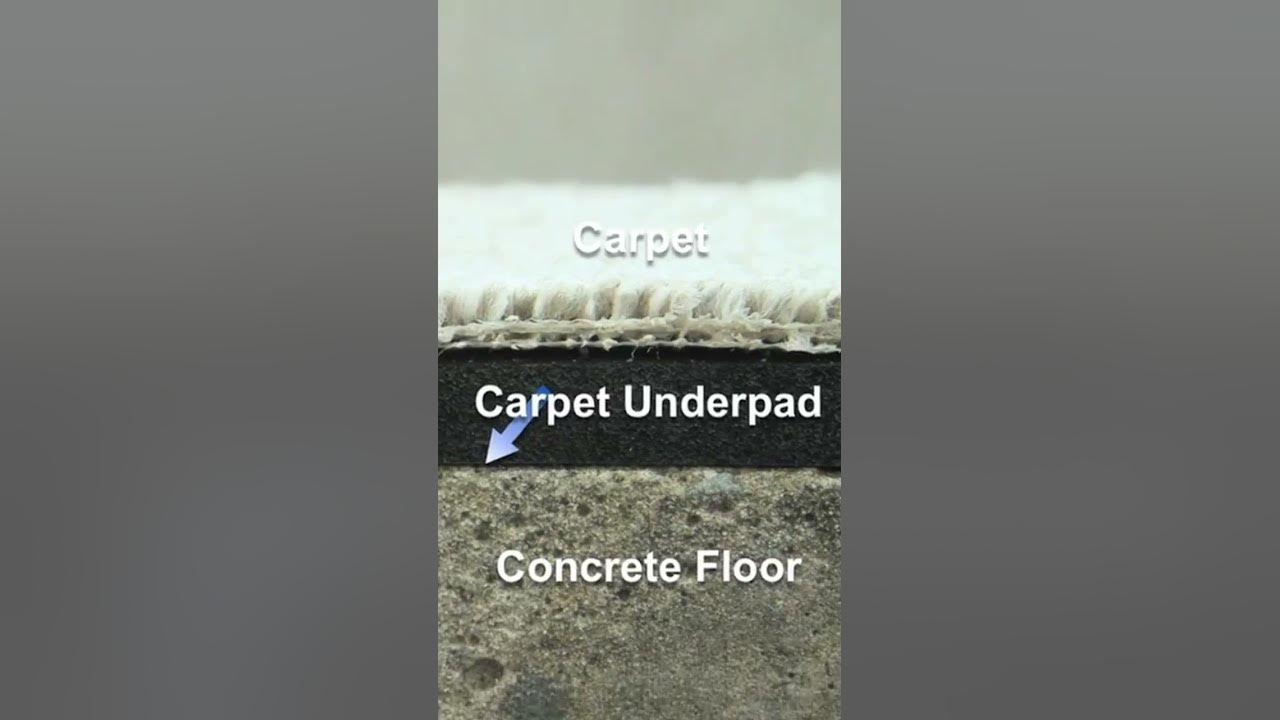 Video thumbnail for How to Prevent Carpet Mold #shorts