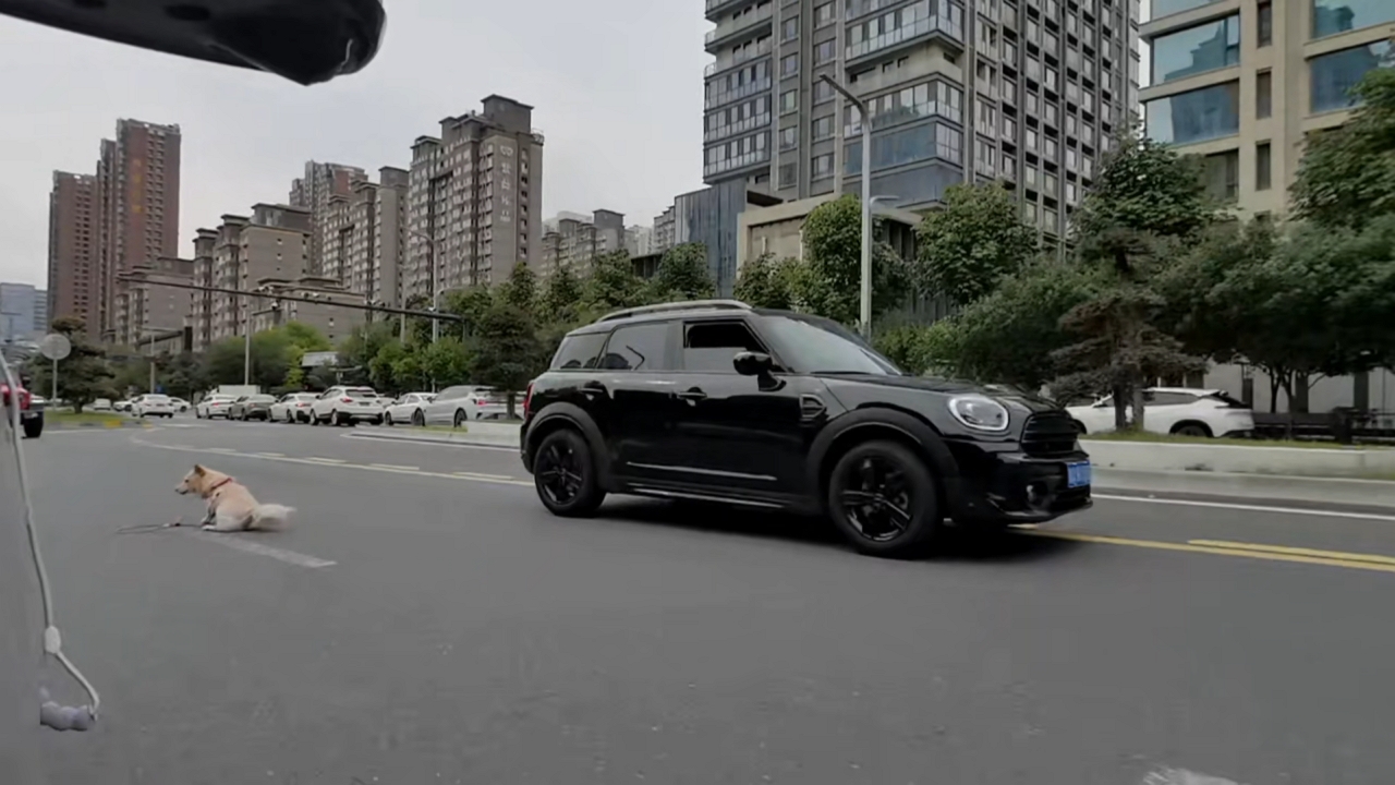 Video thumbnail for Dog Falls Out of Car Window on Shaanxi Road