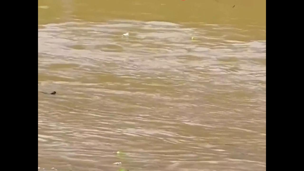 Video thumbnail for China: Chinese man leaps into river to rescue child in dangerous current.