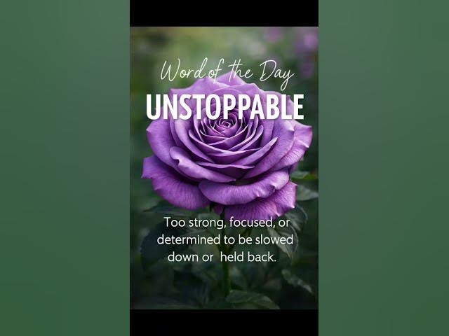 Video thumbnail for 01 December 2025