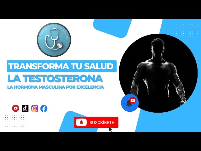 Video thumbnail for LA TESTOSTERONA: LA HORMONA MASCULINA POR EXCELENCIA.