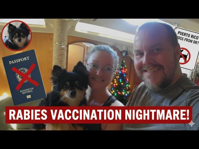 Video thumbnail for PUERTO RICO BANNING OUR DOG?! Rabies Vaccination Nightmare To Leave Dominican Republic | Ep 95