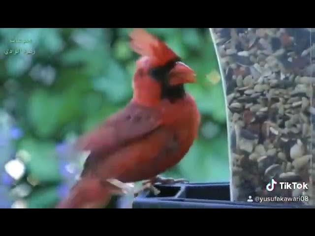 Video thumbnail for 29 July 2022