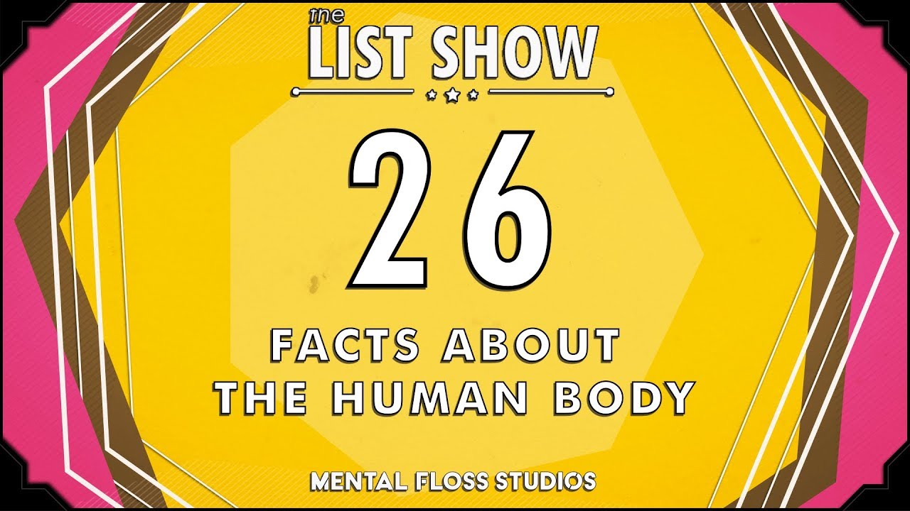 Video thumbnail for Only Humans Have Chins and More Facts About the Human Body | Mental Floss List Show | 532
