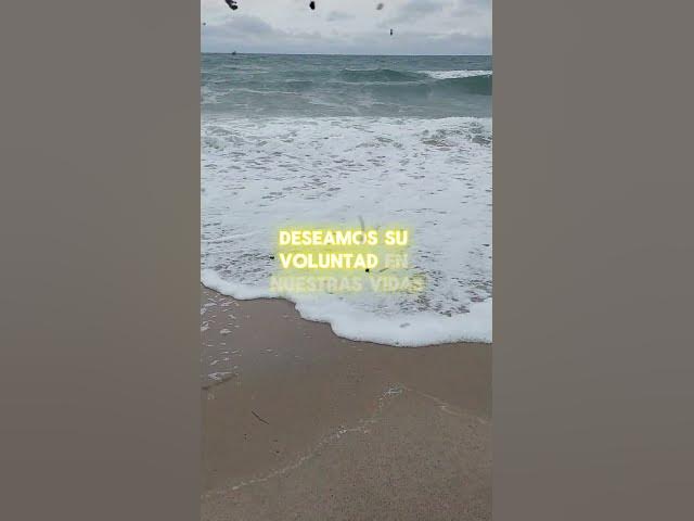 Video thumbnail for El Padre Nuestro, una breve reflexión #padrenuestro #oración #enseñanza #biblia