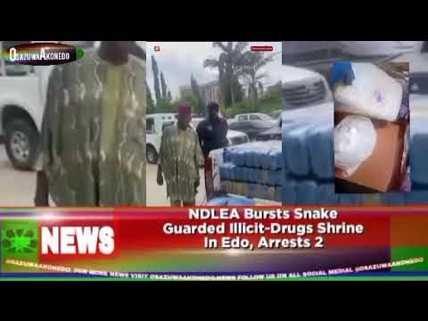 NDLEA Bursts Snake Guarded Illicit-Drugs Shrine In Edo, Arrests 2 ~ OsazuwaAkonedo