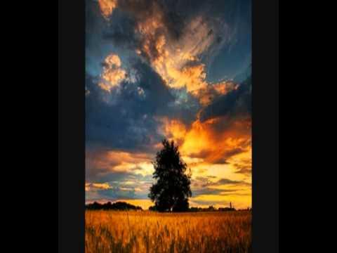 Video thumbnail for Field of Gold by Sting (live interpretation by Palitha Ariyarathna)