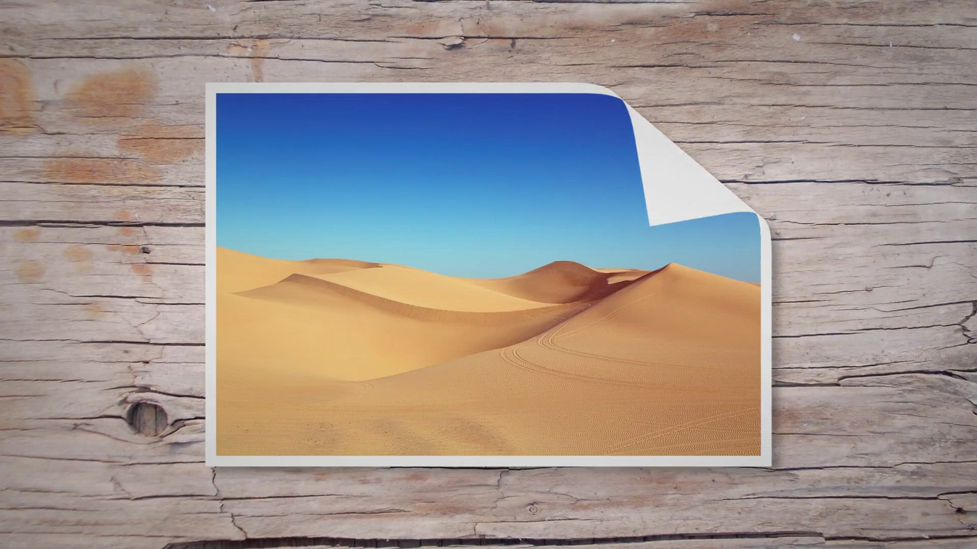 Video thumbnail for Top 15 Summer Fruits In India