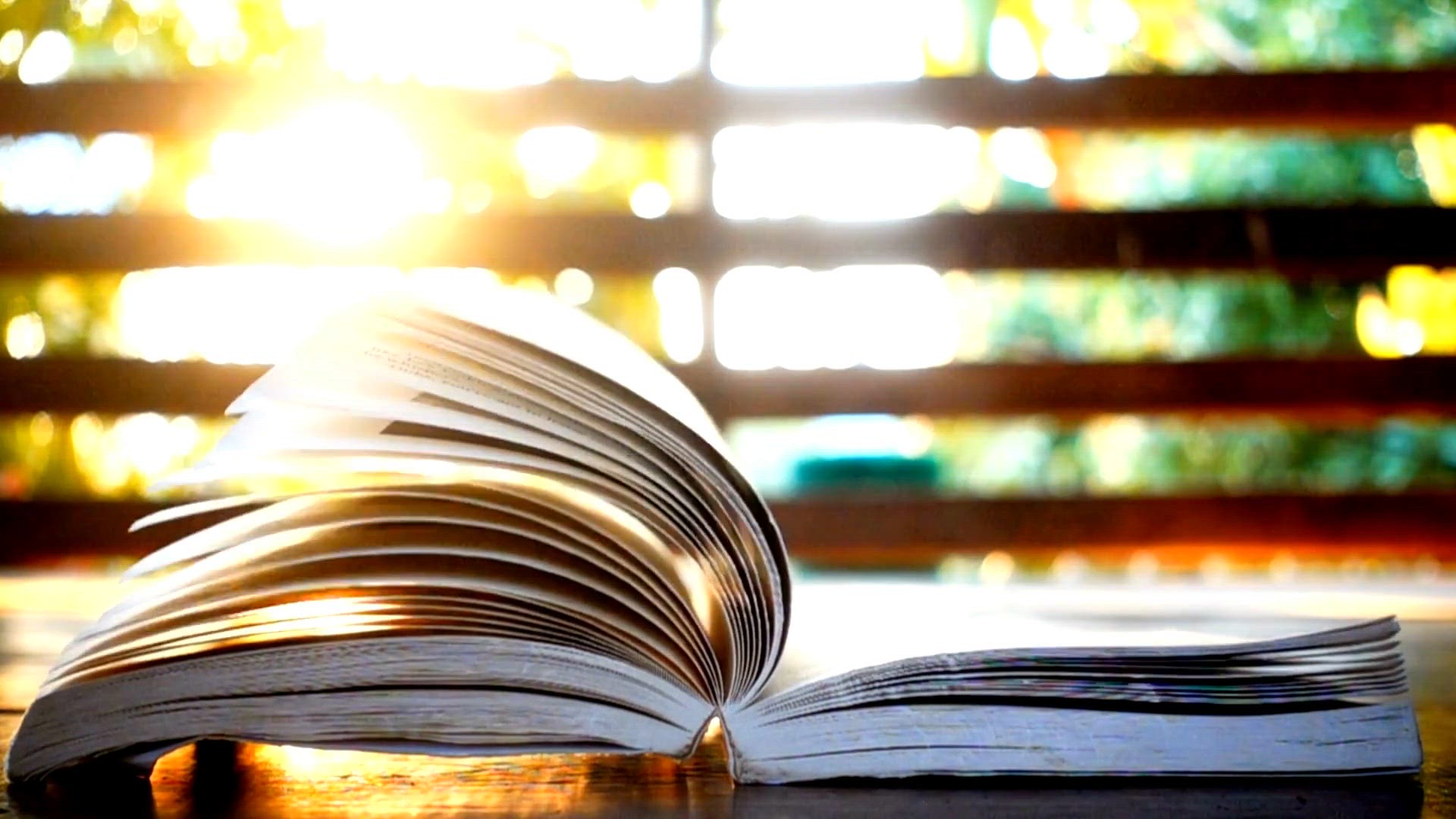 Video thumbnail for Why Books Are Important For Students  15 Best Books In 2023