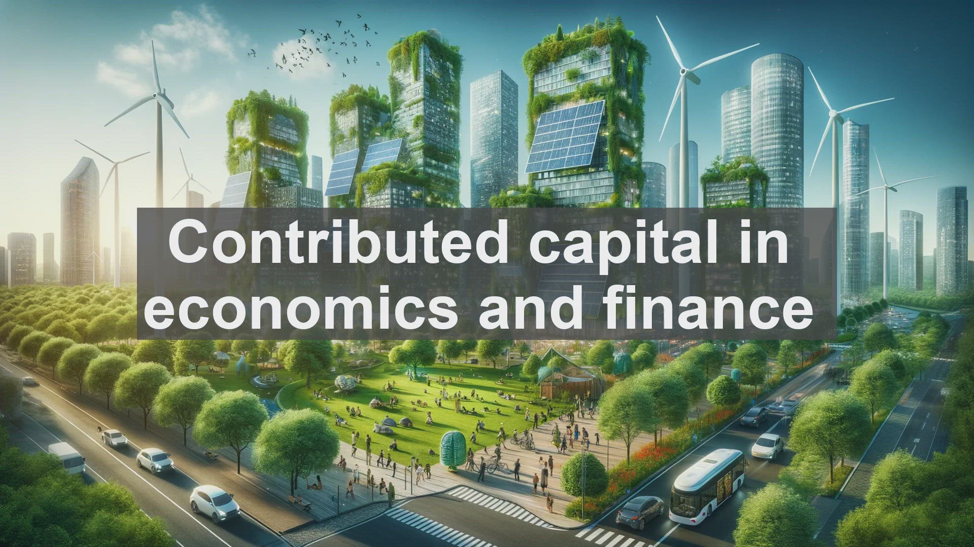 'Video thumbnail for Contributed capital in economics and finance'