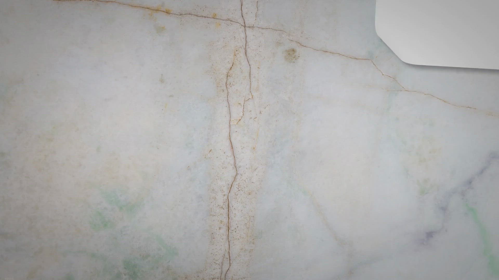 Video thumbnail for Can Cockatiels Eat Cheerios?