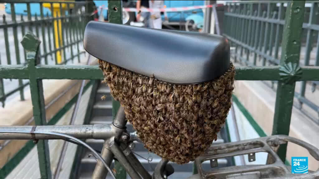 Video thumbnail for Social media abuzz as bees colonise bike outside the Louvre Museum