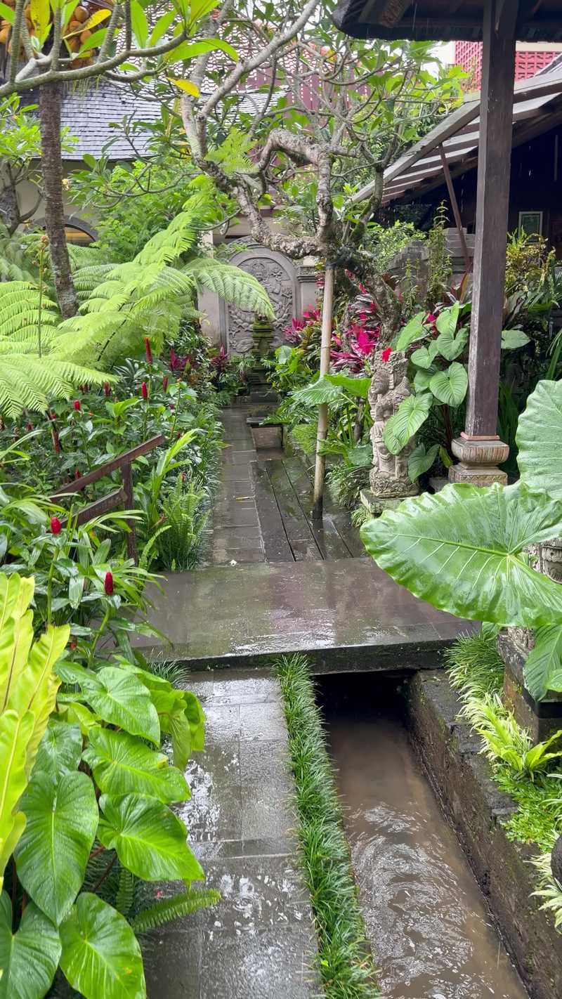 Video thumbnail for Rainy Garden Walk at Bliss Ubud Spa Resort Bali