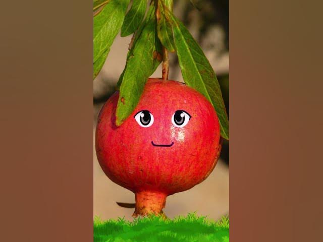 Video thumbnail for Alifun baa Taun Saa | Naat | Islamic video || #islamicshorts #shorts #fareedyaqoob  #trending #naat