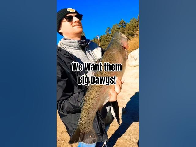 Video thumbnail for That's what we're Talking about! #bigboi