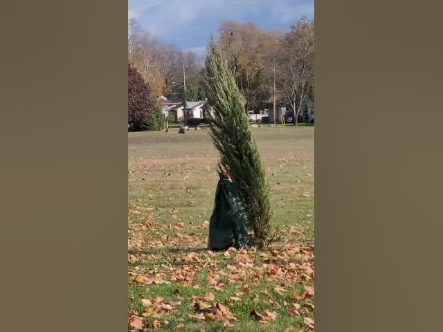 Video thumbnail for It's very nice autumn weather. It's warm and cold at the same time, but it's enjoyable.