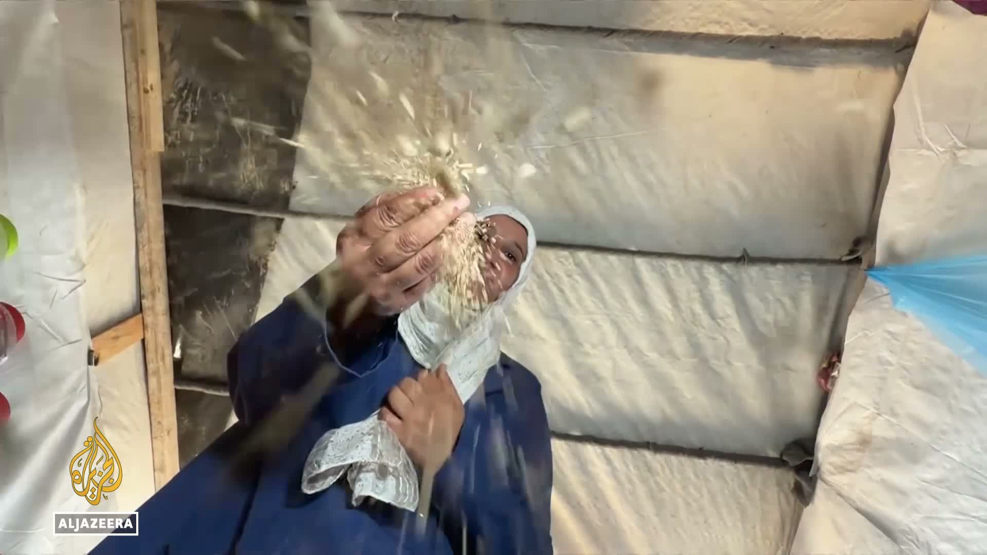 Video thumbnail for Gaza's seed bank: Digging deep to preserve agricultural heritage
