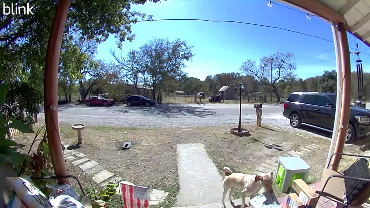 Video thumbnail for Pup Proudly Takes Package Off Porch