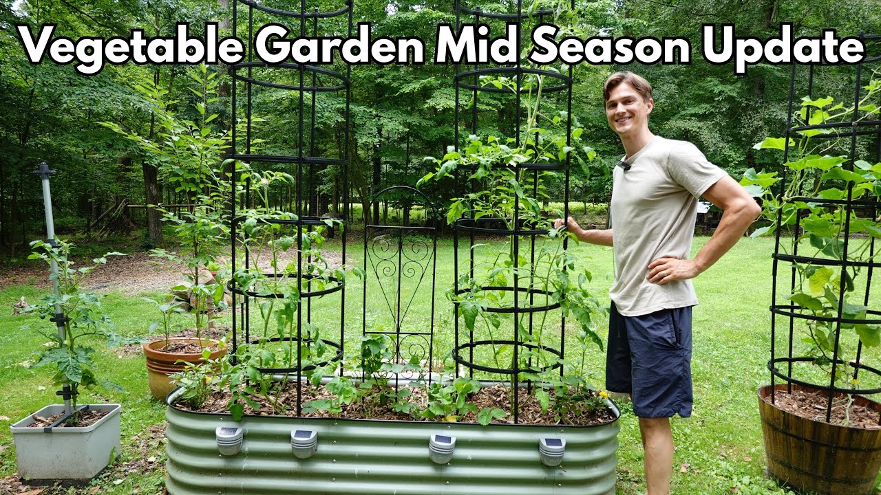 Video thumbnail for Veggie Garden - Mid Season Update