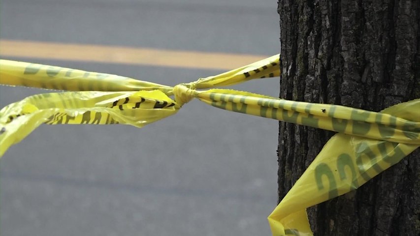 Video thumbnail for Bay Shore man pleads guilty to killing pedestrian in DWI hit-and-run