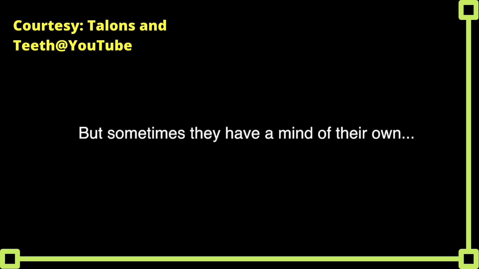 Video thumbnail for Ravens Can Talk Better than Parrots