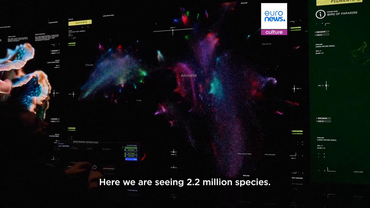 Video thumbnail for Inside DATALAND: The world’s first AI art museum will let visitors see, hear and smell art