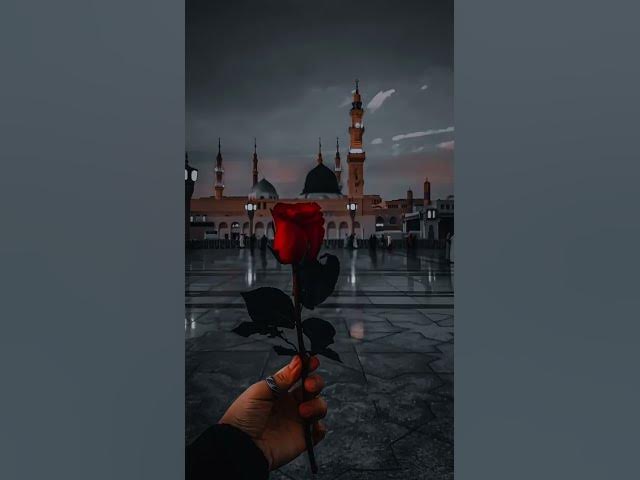 Video thumbnail for new video viral trading for you guys video viral trading 💖 for you 🔥 Gaza help #trader