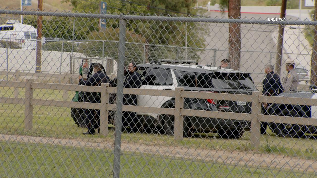 Video thumbnail for US, Los Angeles: Hansen Dam Bear In Tree Draws Crowd.