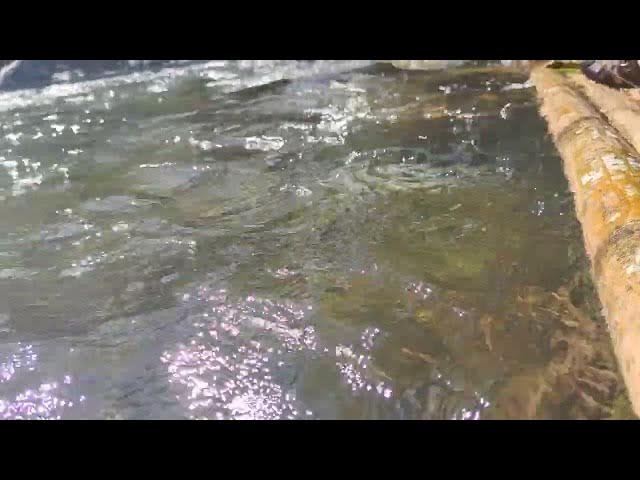 Video thumbnail for Loksado #river #holiday #fyp