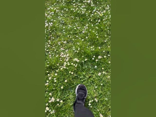 Video thumbnail for Hall park Rushden