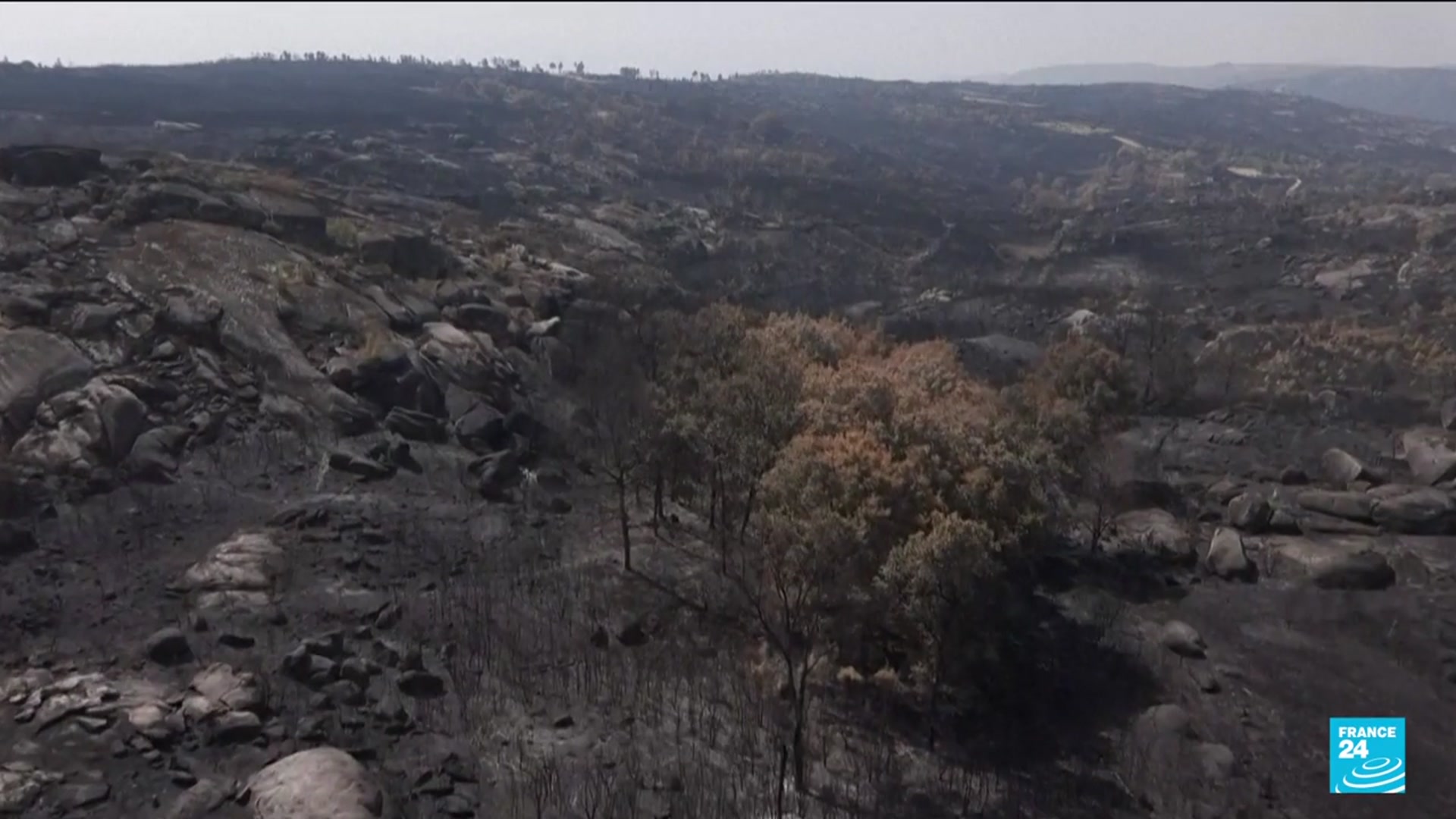 'Video thumbnail for Firefighters struggle to contain wildfires in Spain and Portugal'
