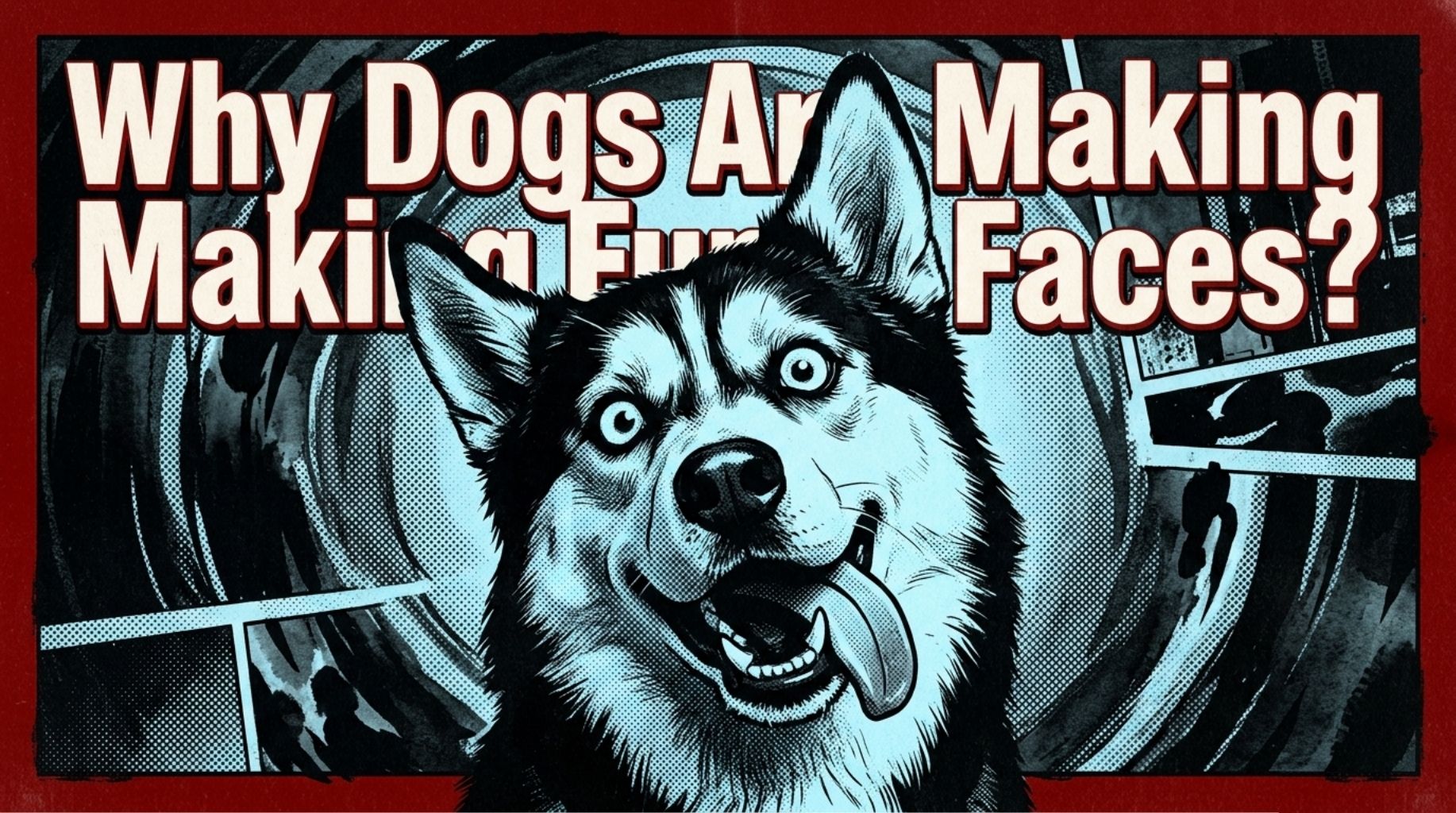 Video thumbnail for Why Do Dogs Make Funny Faces?