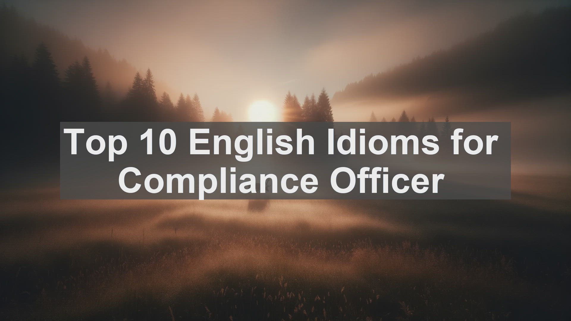 'Video thumbnail for Top 10 English Idioms for Compliance Officer'