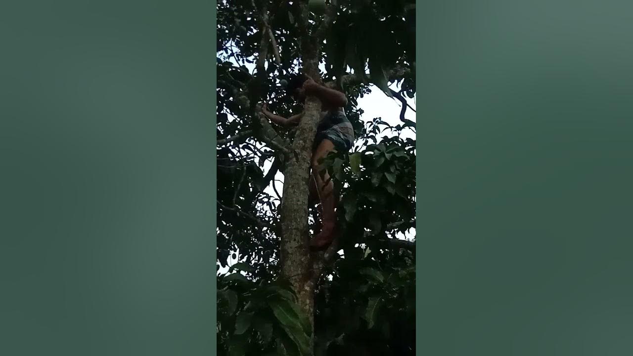 Video thumbnail for đĨāĻŦā§āĻĄāĻŧā§ āĻŽāĻžāύā§āώ āĻāĻžāĻā§ āĻāĻ āϞ⧠āĻāĻŋ āĻšāϝāĻŧ āϤāĻž āĻĻā§āĻā§āύ#shortvideo#shots #shot#arshadmilton đĨ