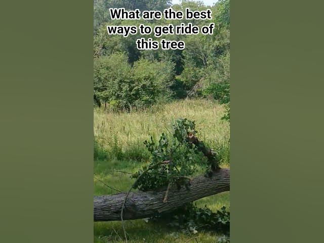 Video thumbnail for July 28, 2025