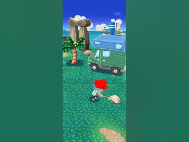 Video thumbnail for Animal crossing pocket camp last minutes