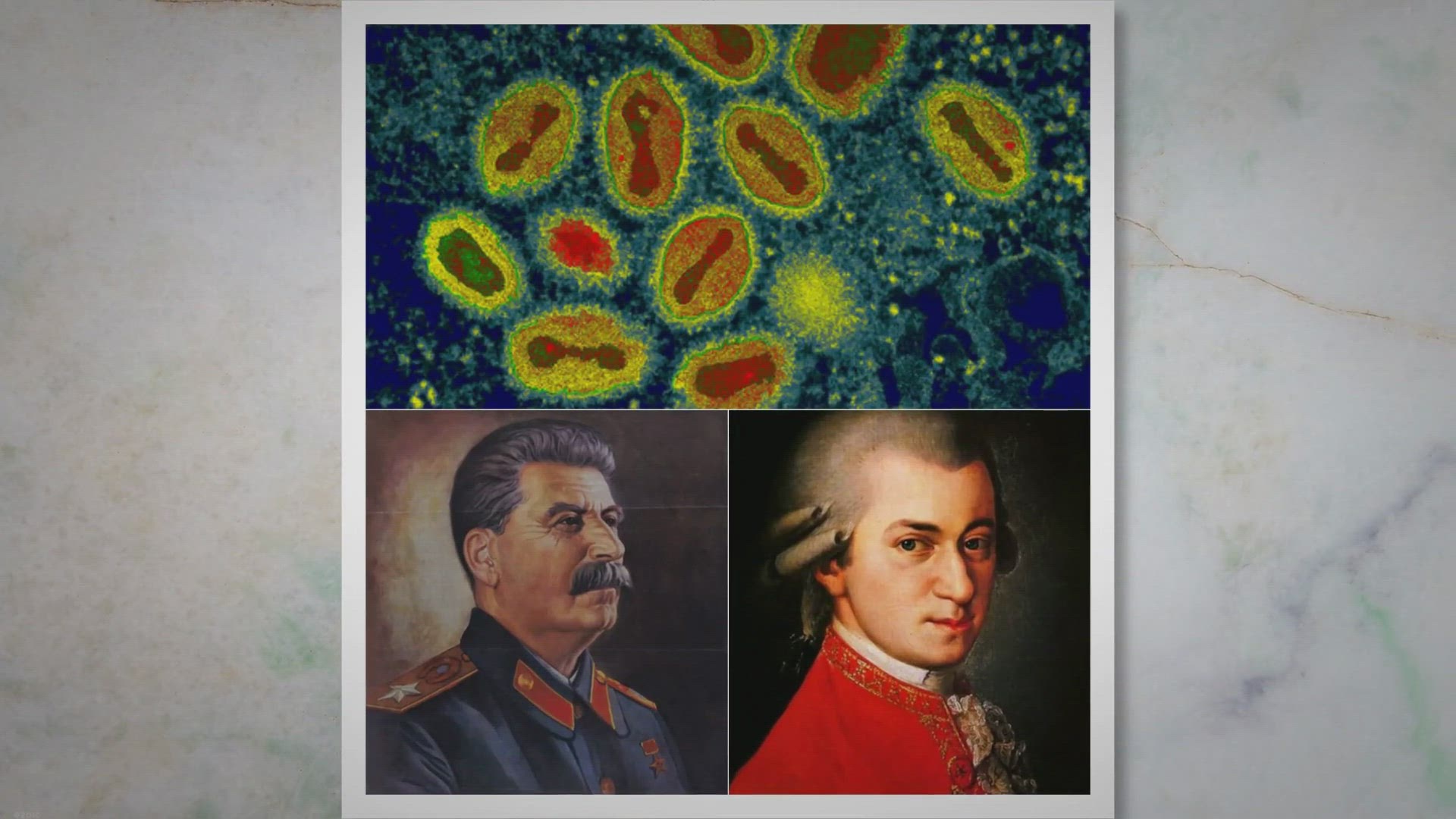 Video thumbnail for 8 Influential People Who Survived Smallpox